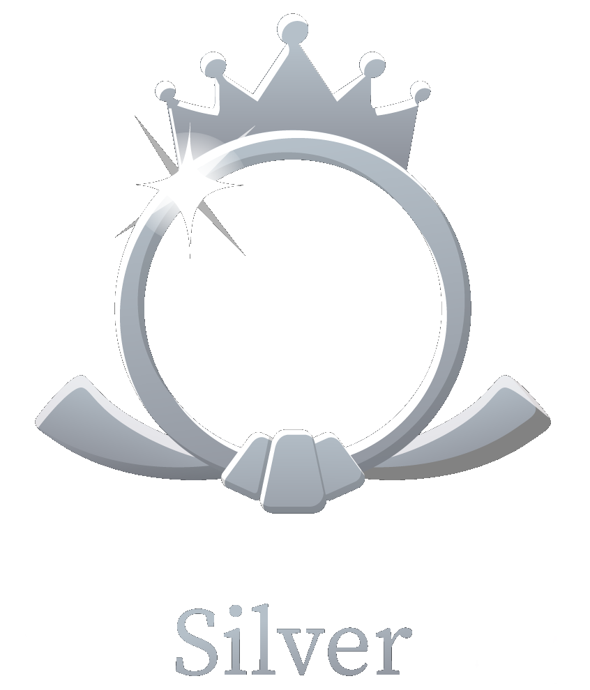 Silver – Focus Session